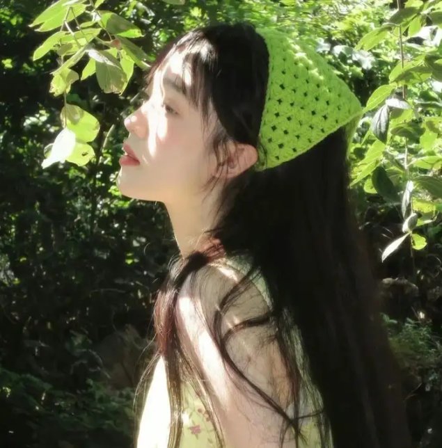 美声歌鸡